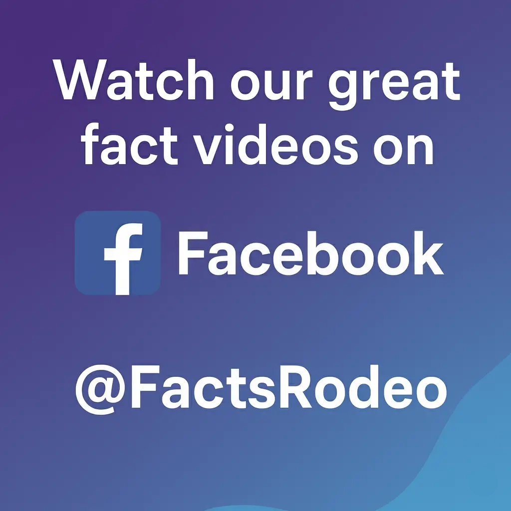 Watch our videos at Facebook!