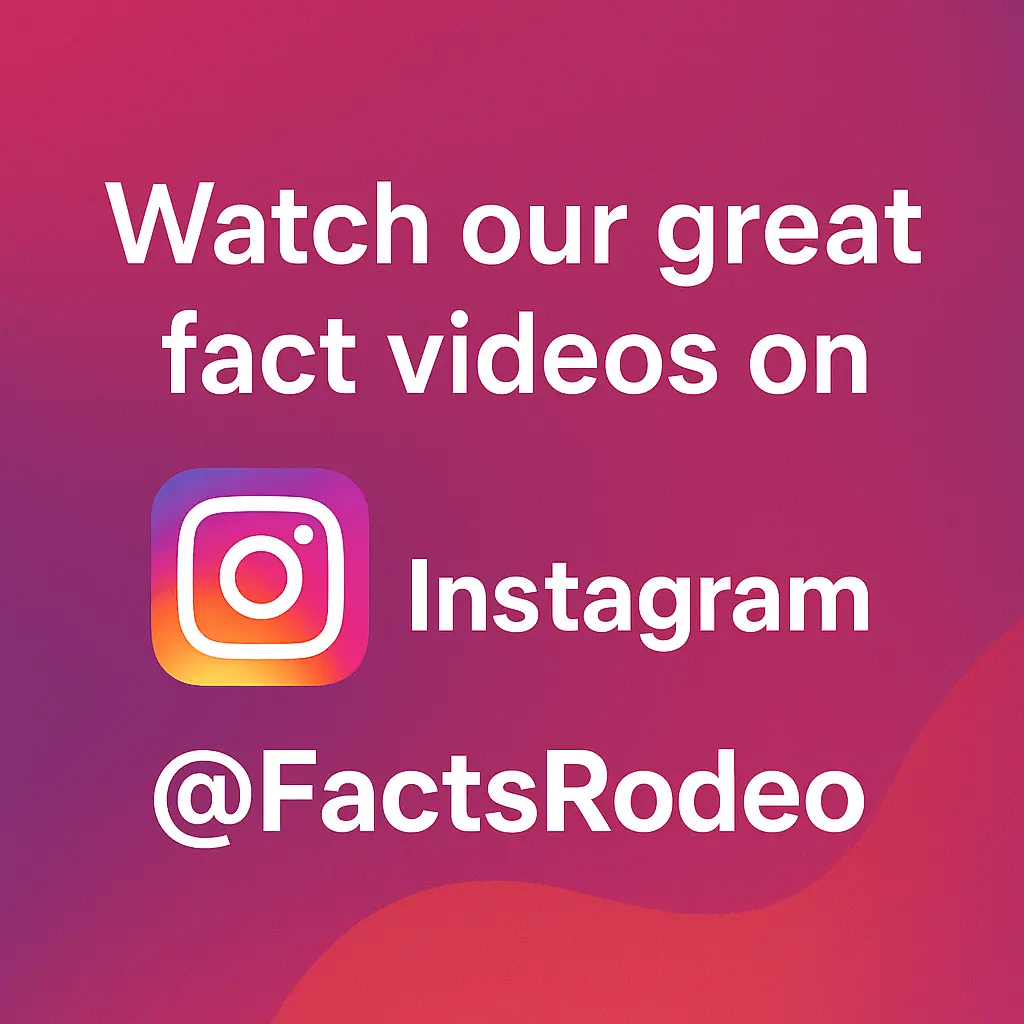Watch our videos at Instagram!