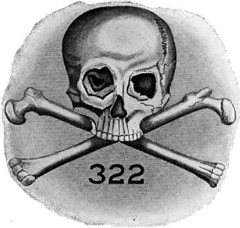 Skull and Bones Origins