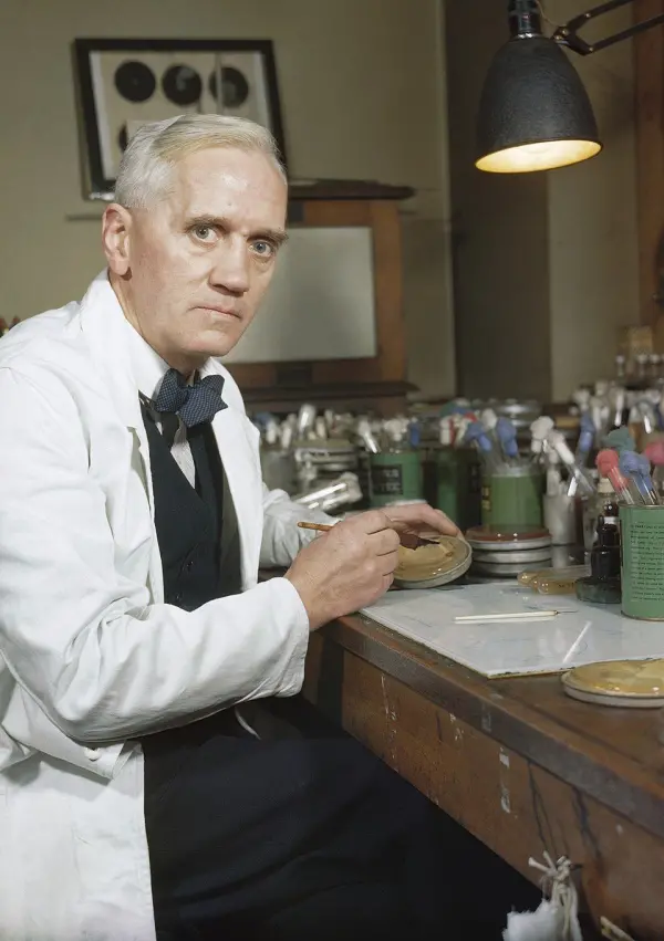 Penicillin’s Accidental Discovery