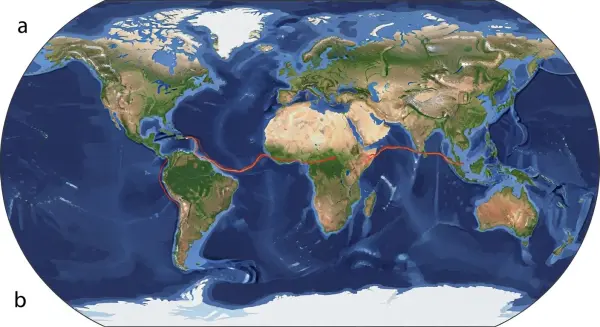 Plate Tectonics in Motion