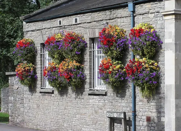 Gardening at Home